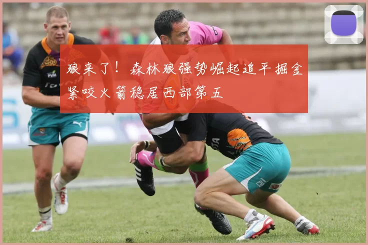 狼来了！森林狼强势崛起追平掘金紧咬火箭稳居西部第五